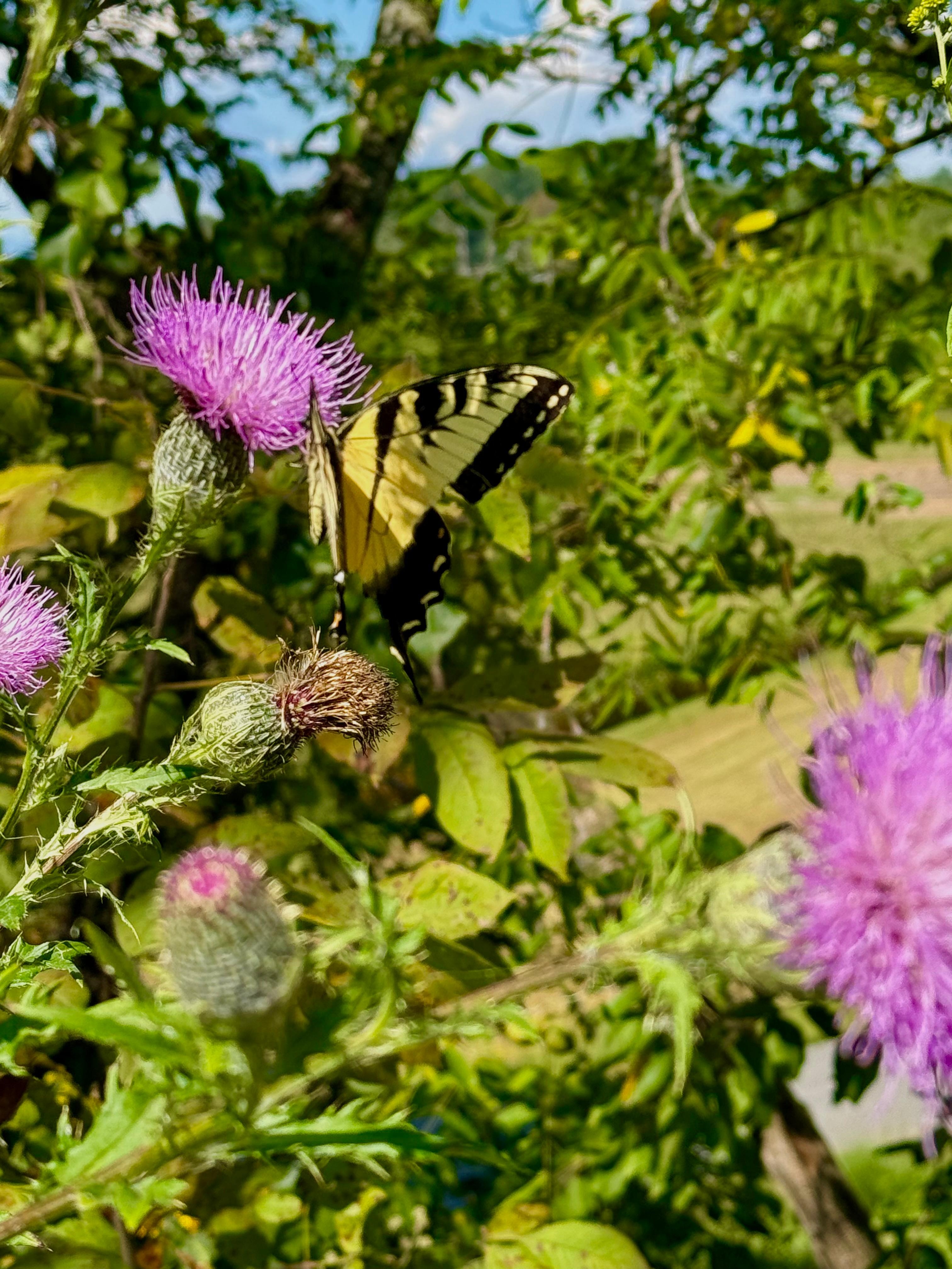 Surrounded by nature