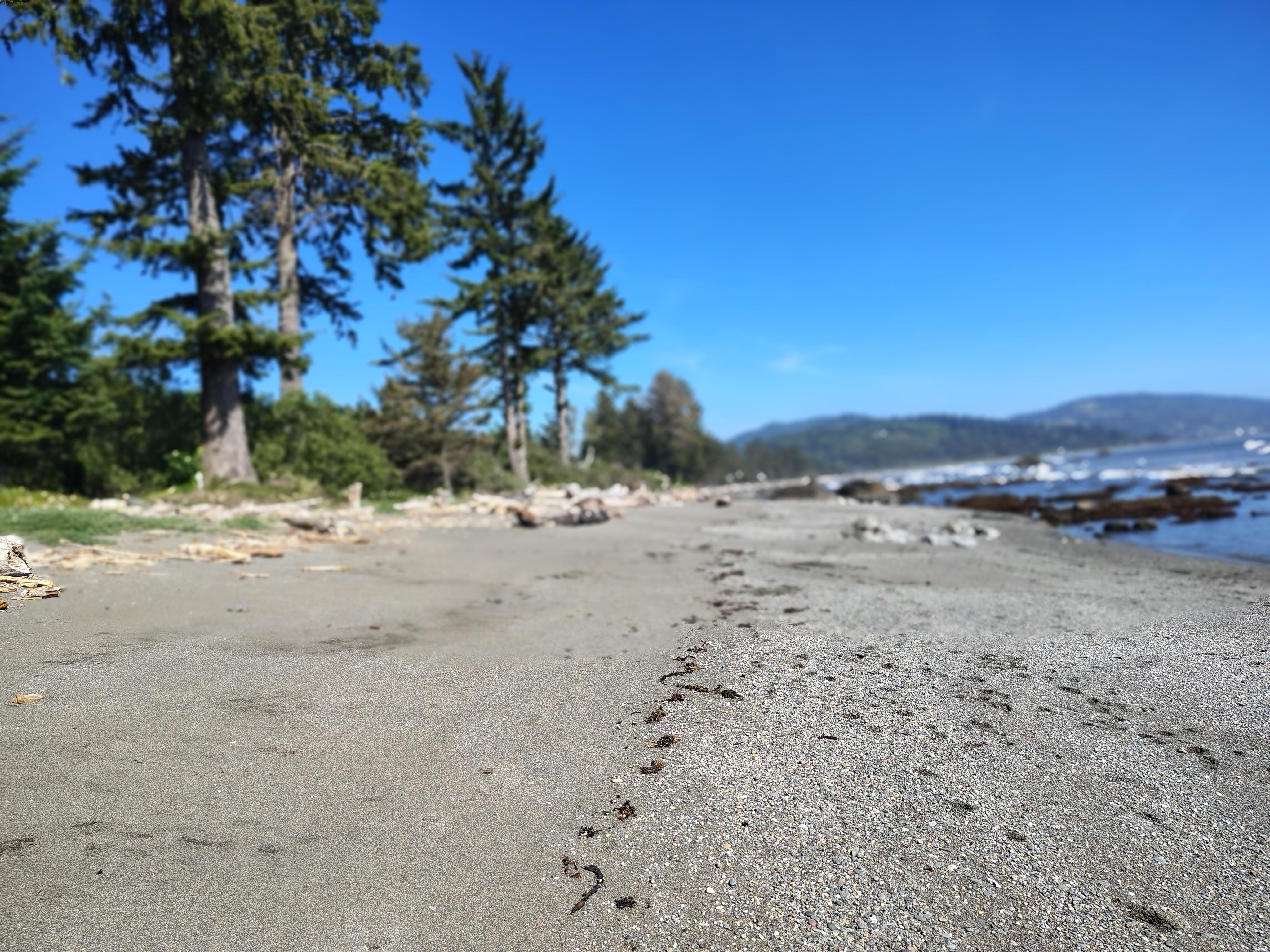 Looking south from below the rental.