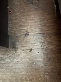 Floor next to the bed. Dirt and some nasty stain.