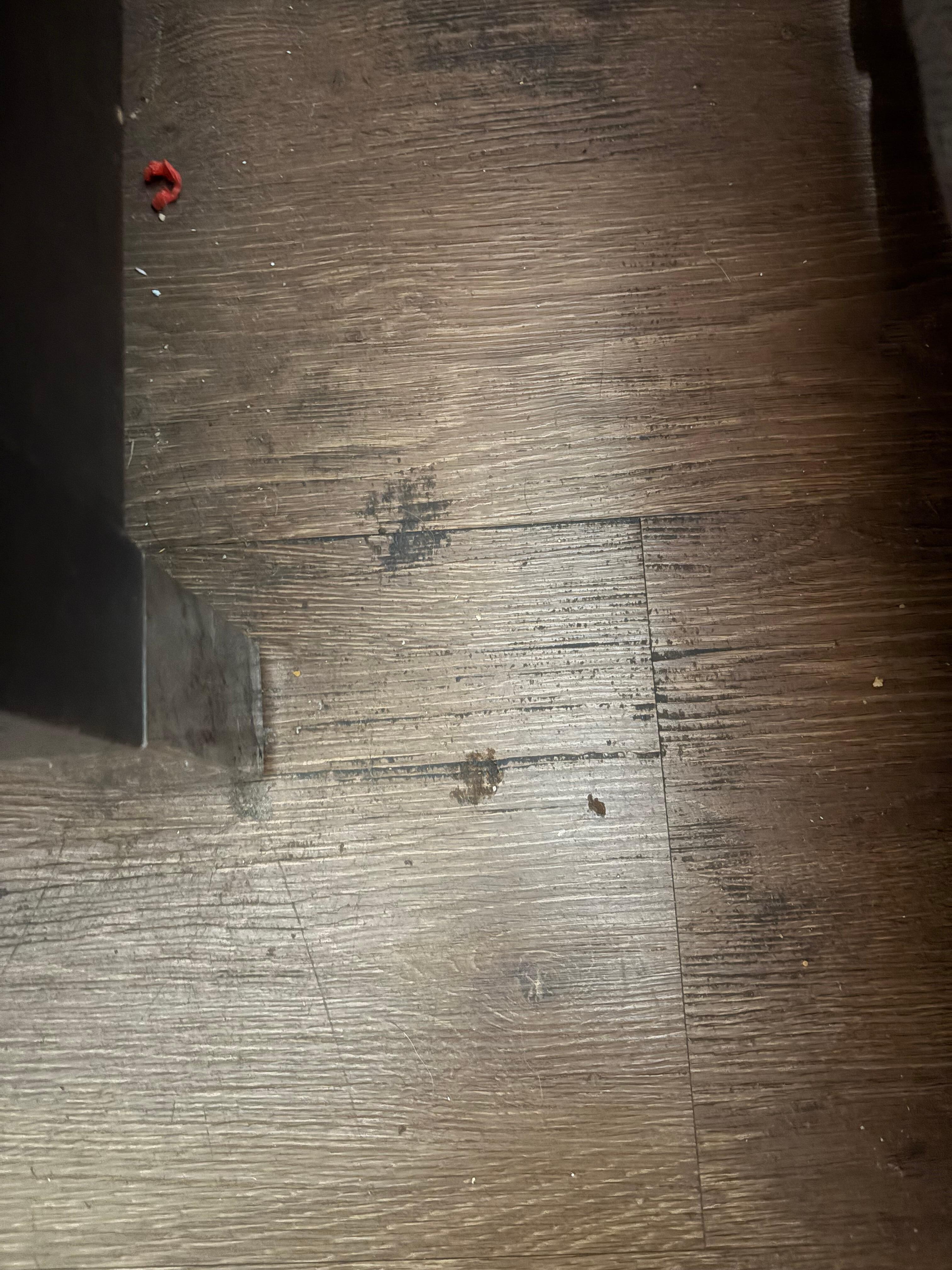 Floor next to the bed. Dirt and some nasty stain. 