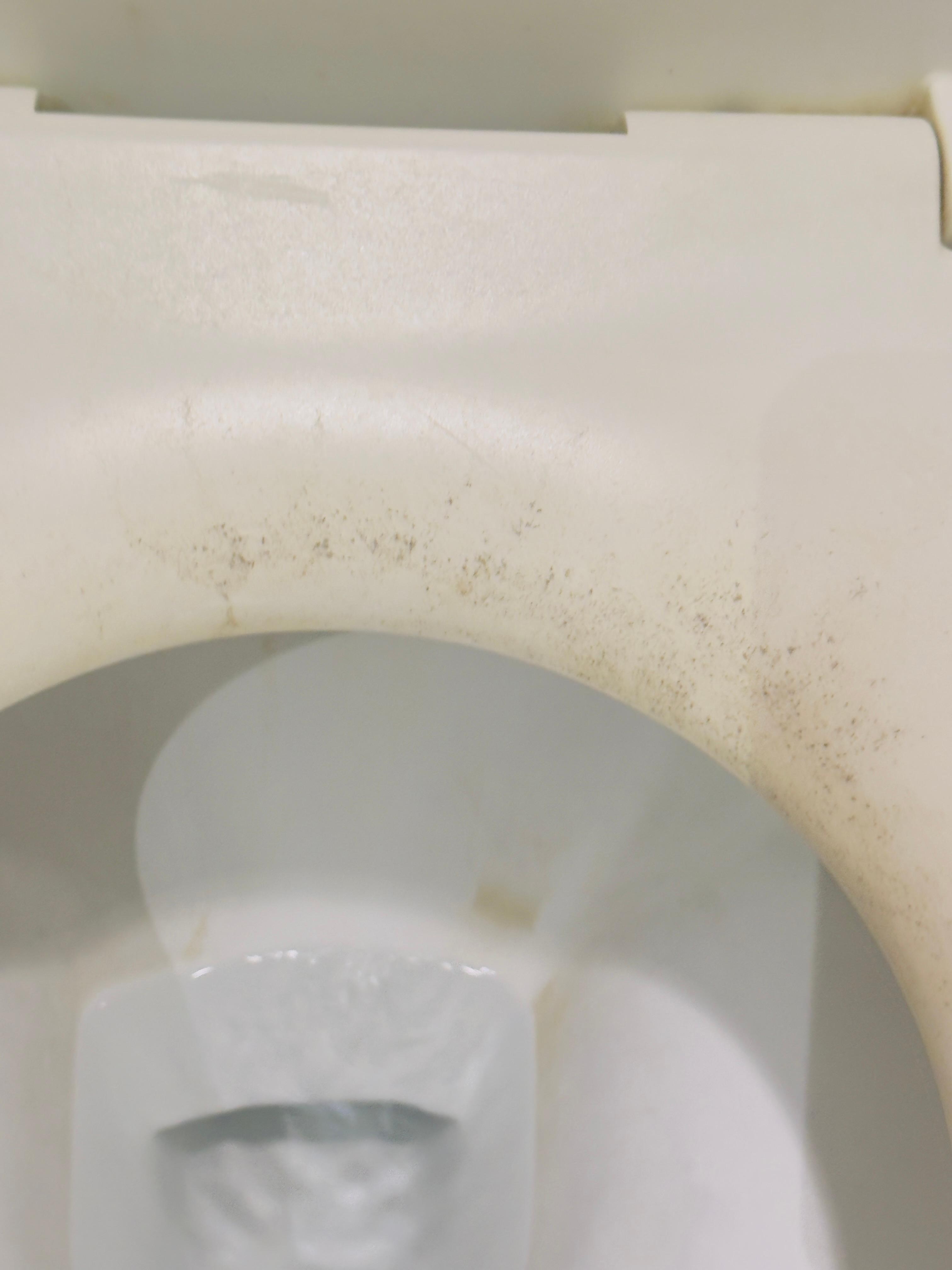 Stained Toilet I checked right back out