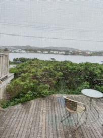 Looking out the kitchen window. The screen makes it a little blurry