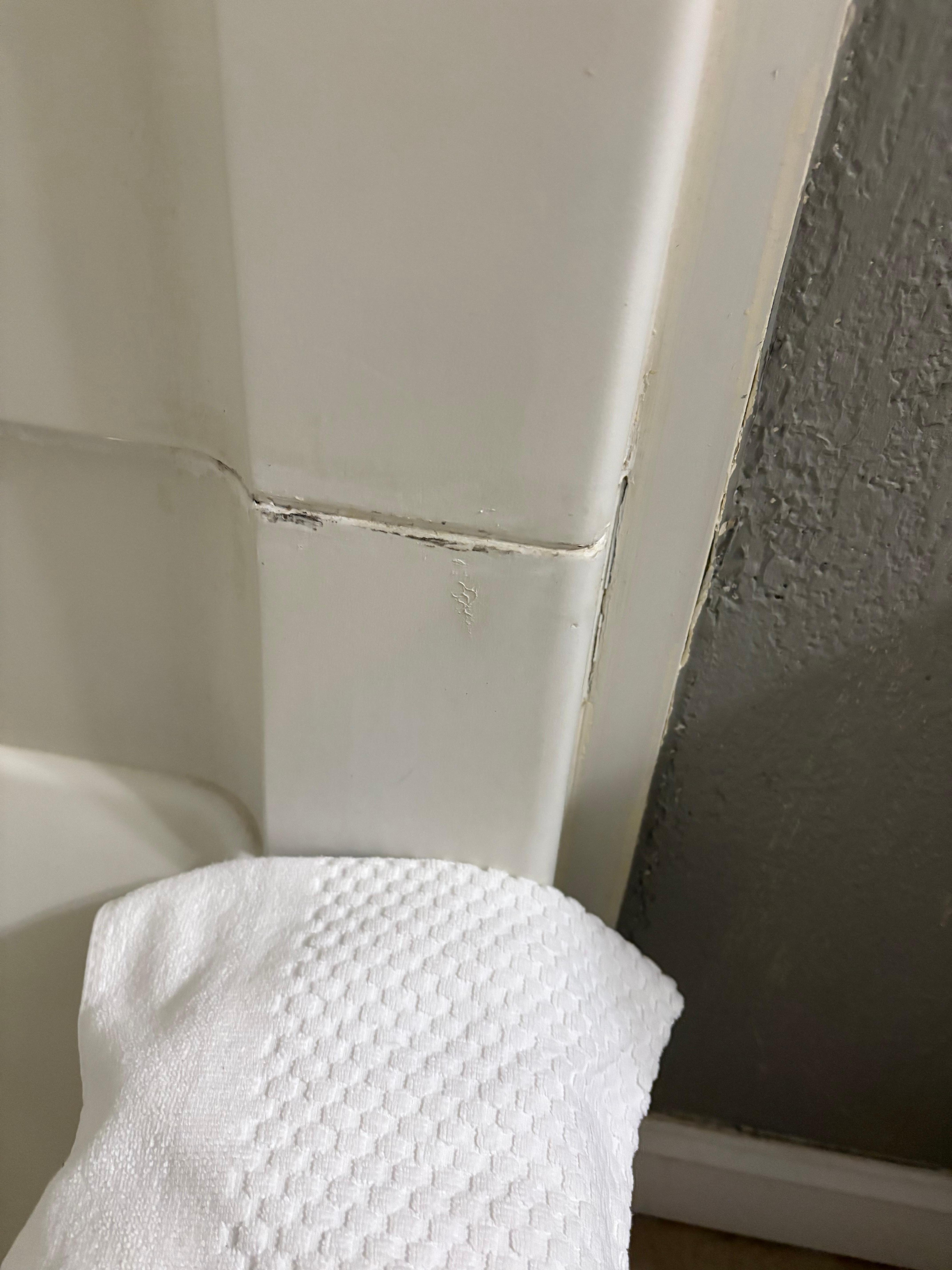 Mold coming out of seams.