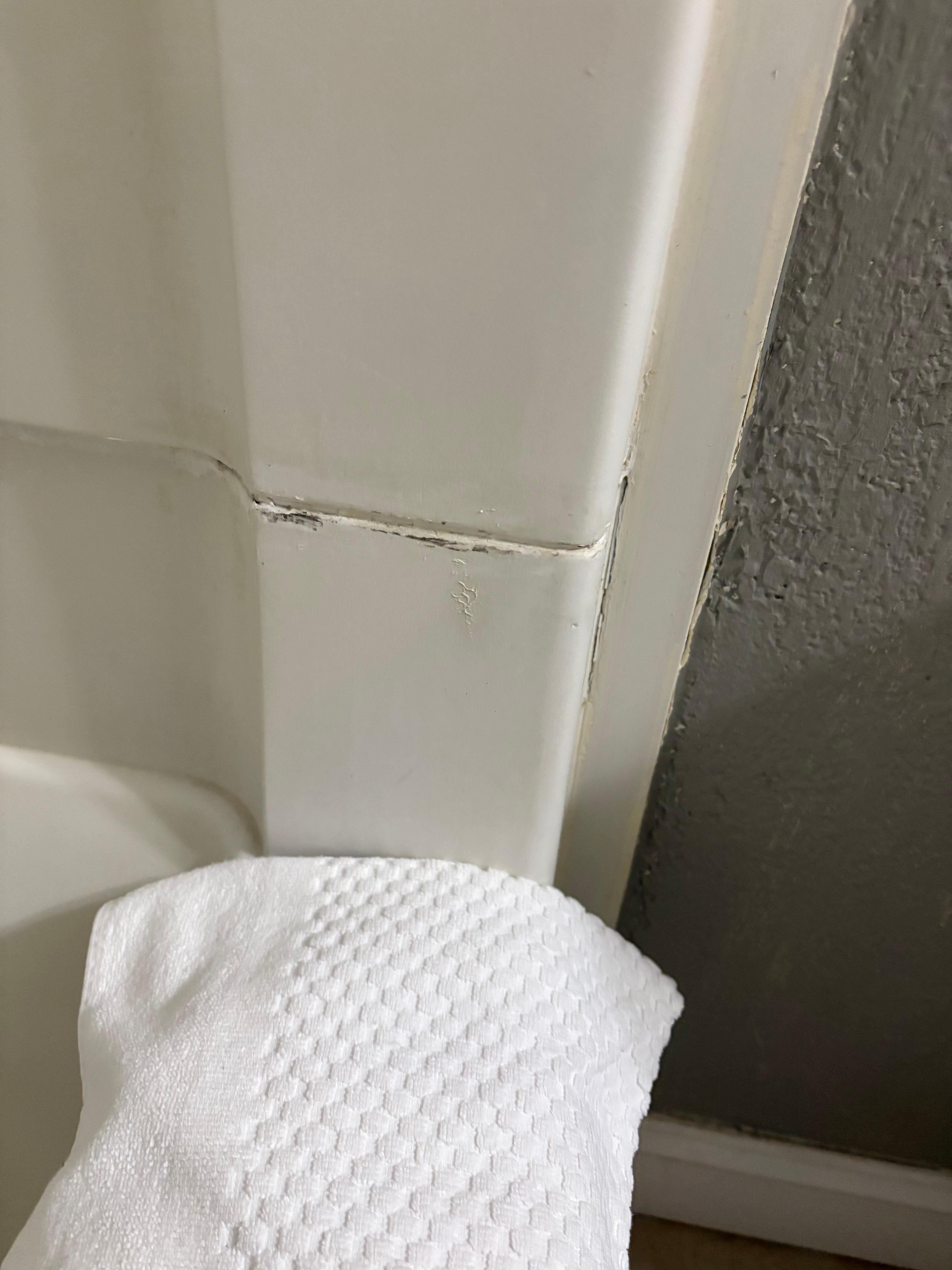 Mold coming out of seams.
