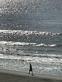 Walking the beach