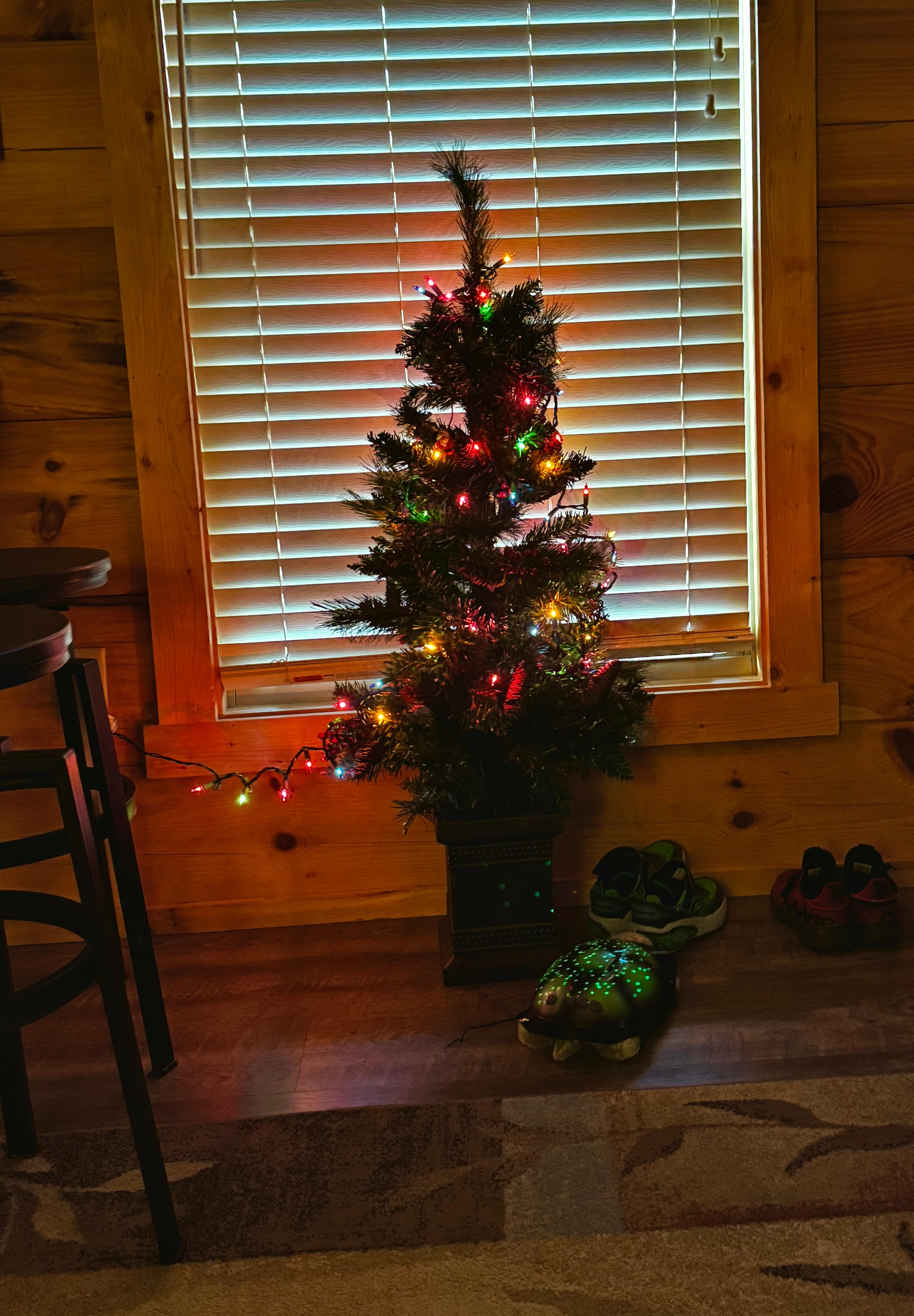 Tiny Christmas tree the host provided by special request 