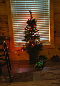 Tiny Christmas tree the host provided by special request