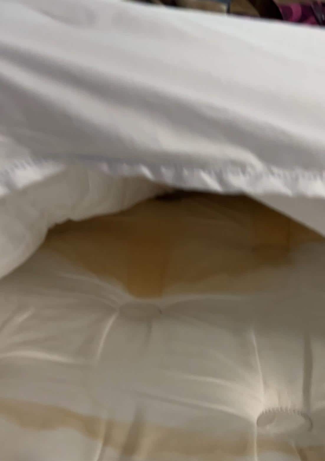 Right side of bed. Possible urination/dedication at foot of bed
