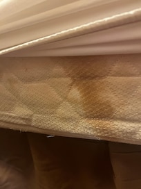 Stained mattress either poop or blood