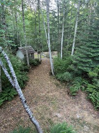 View off the back deck.