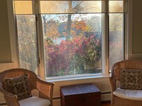 View from the cottage