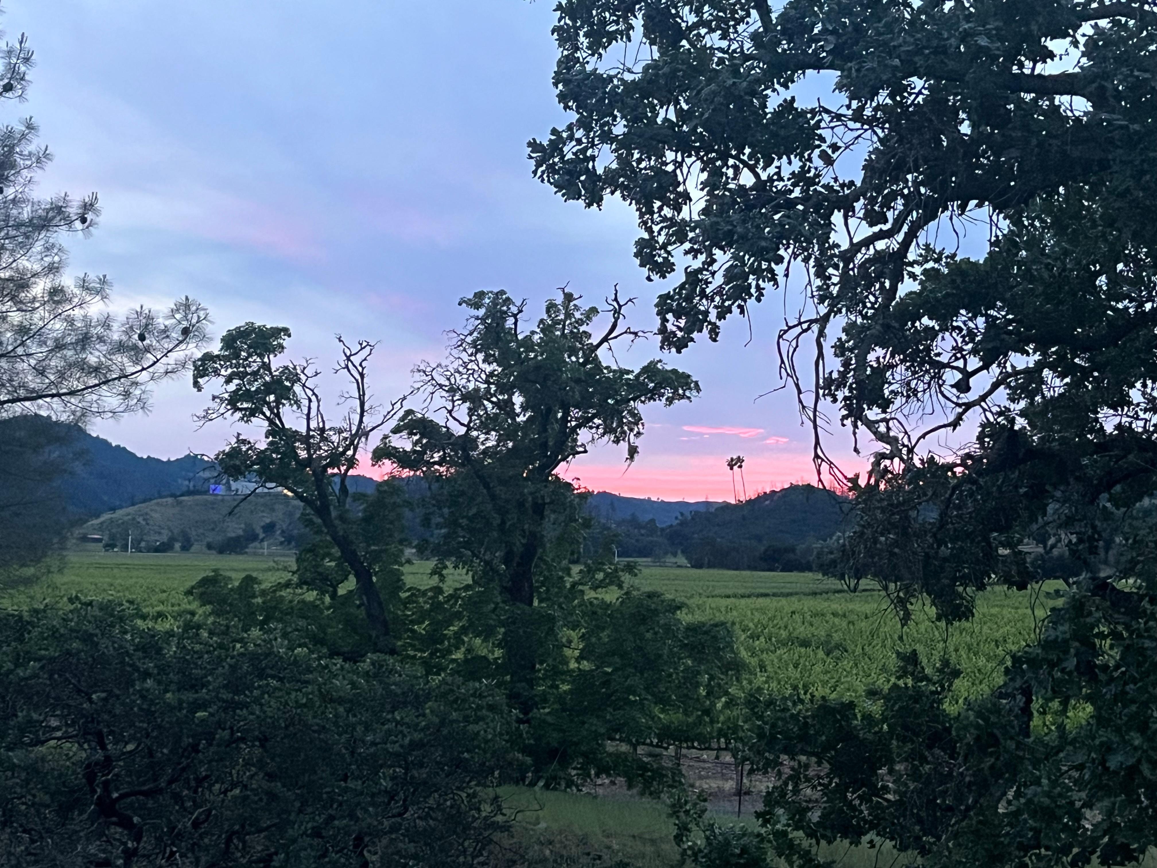 Back deck view at sunset
