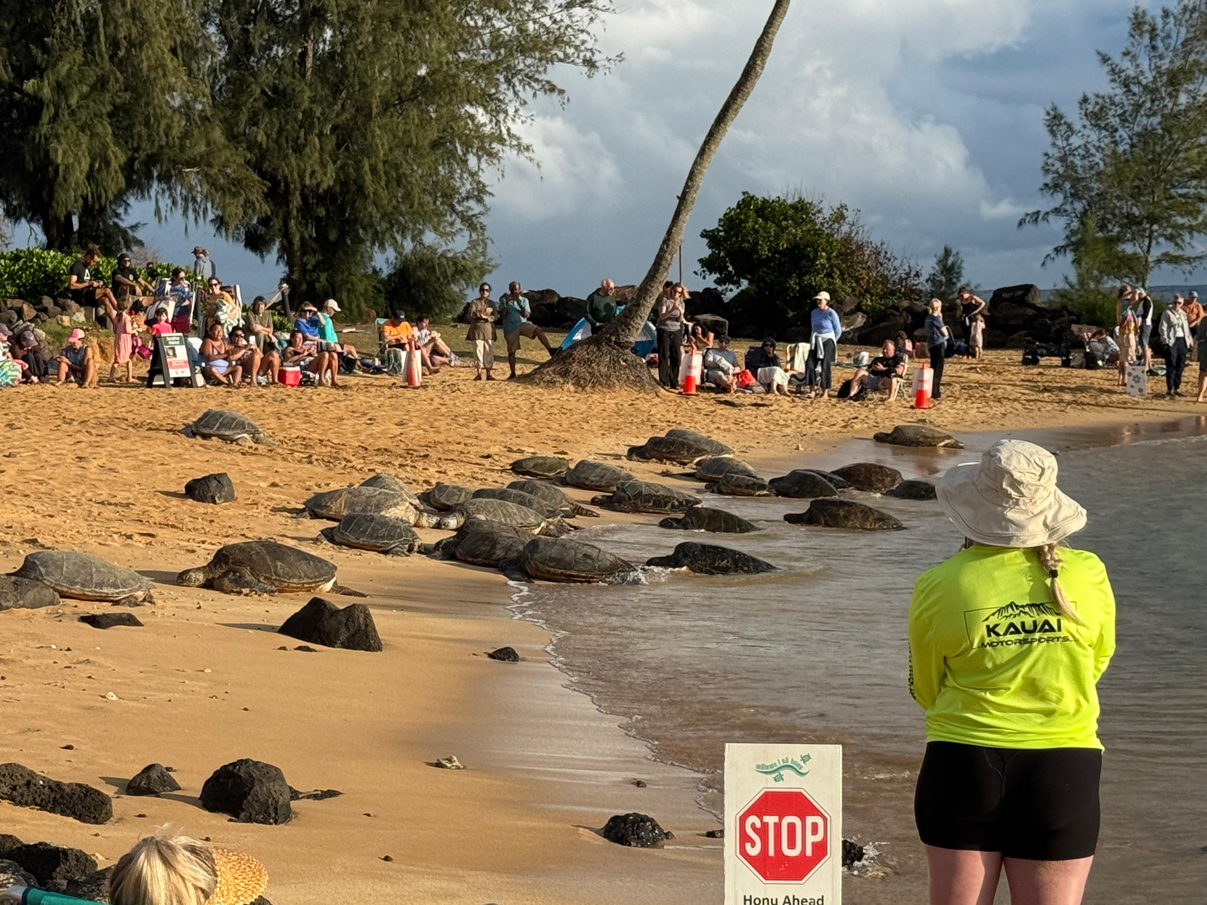 Poipu Beach where the turtles come.  Just a short walk.