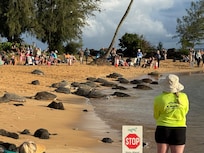 Poipu Beach where the turtles come. Just a short walk.