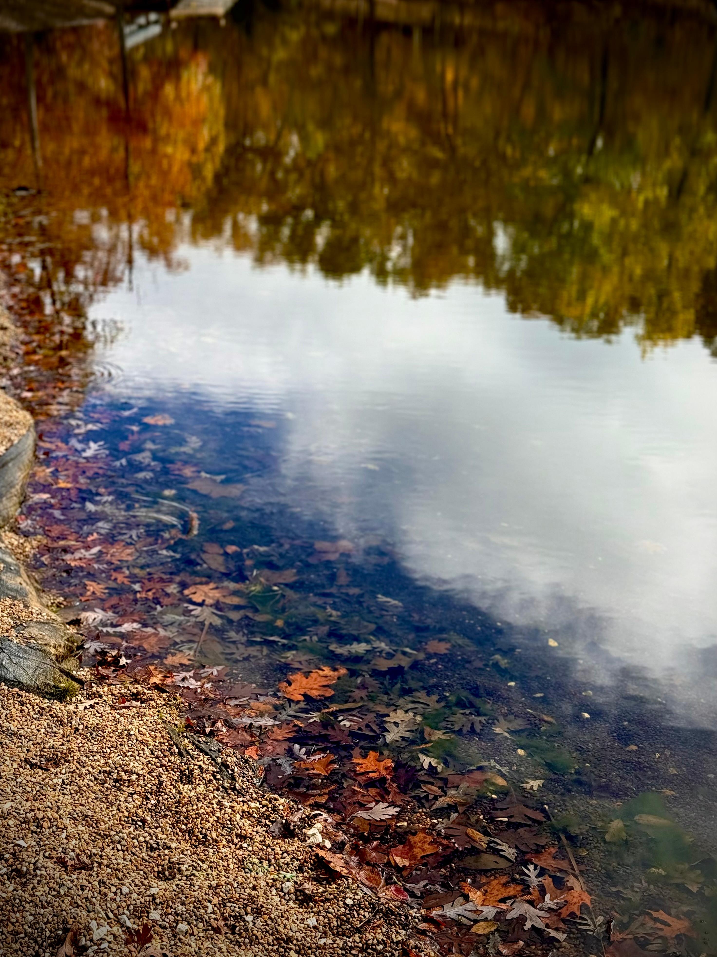 Cool pic of fall colors in reflection of lake. 