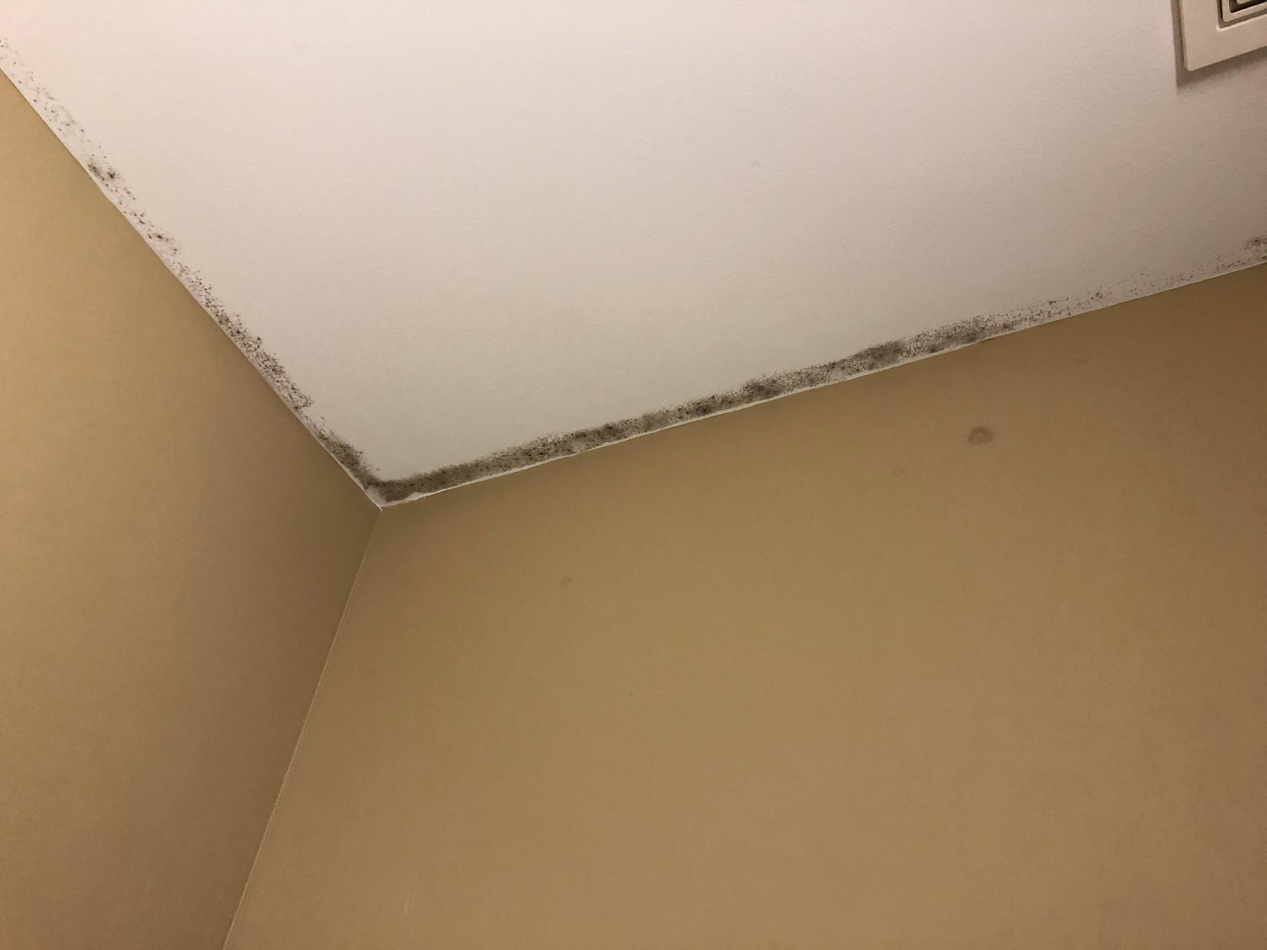 Mold/mildew in bathroom. 