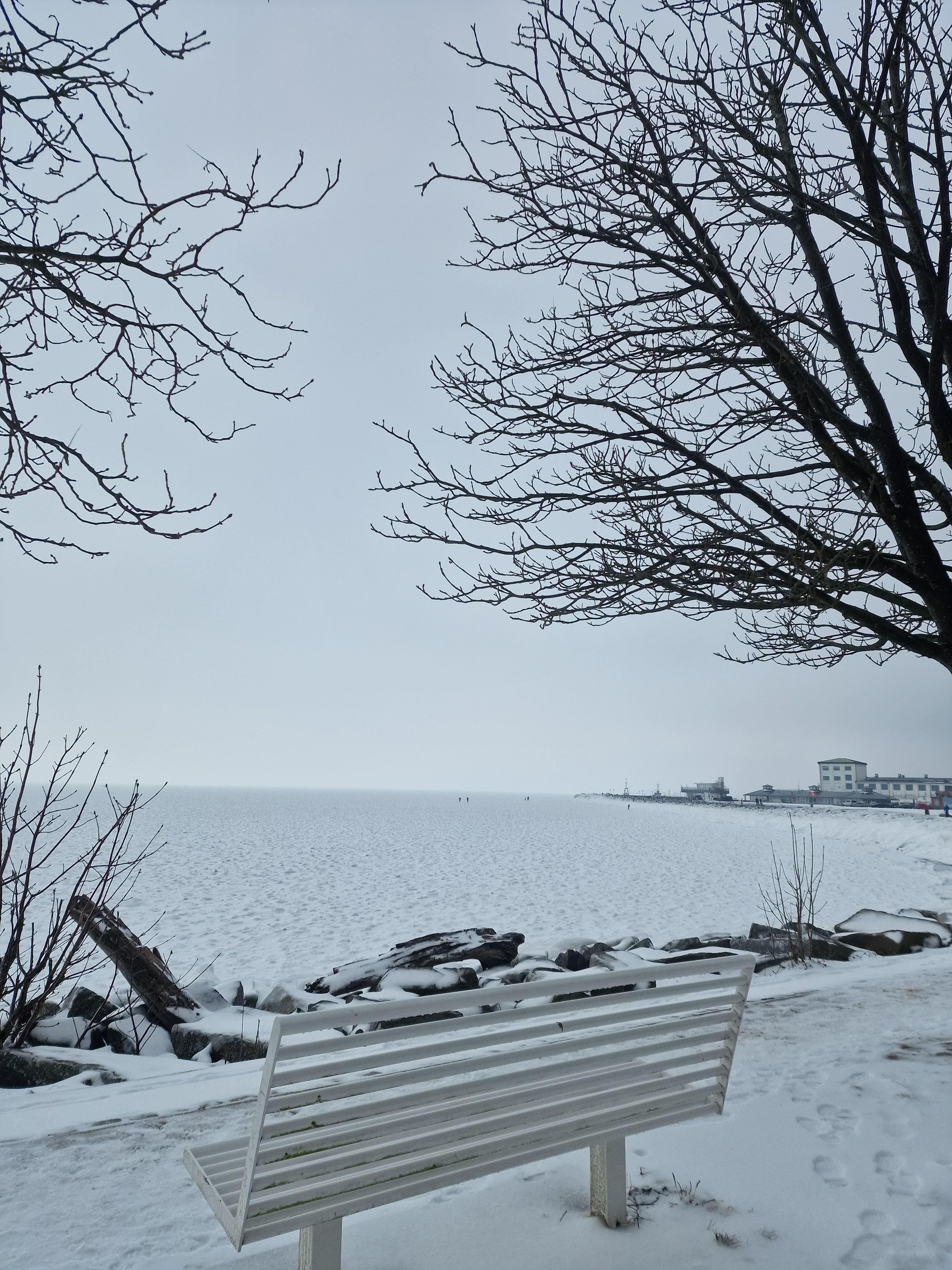 ... im Altstadt-Hafen Sassnitz 