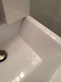 Ah yes, termite wings in the sink. Lovely.