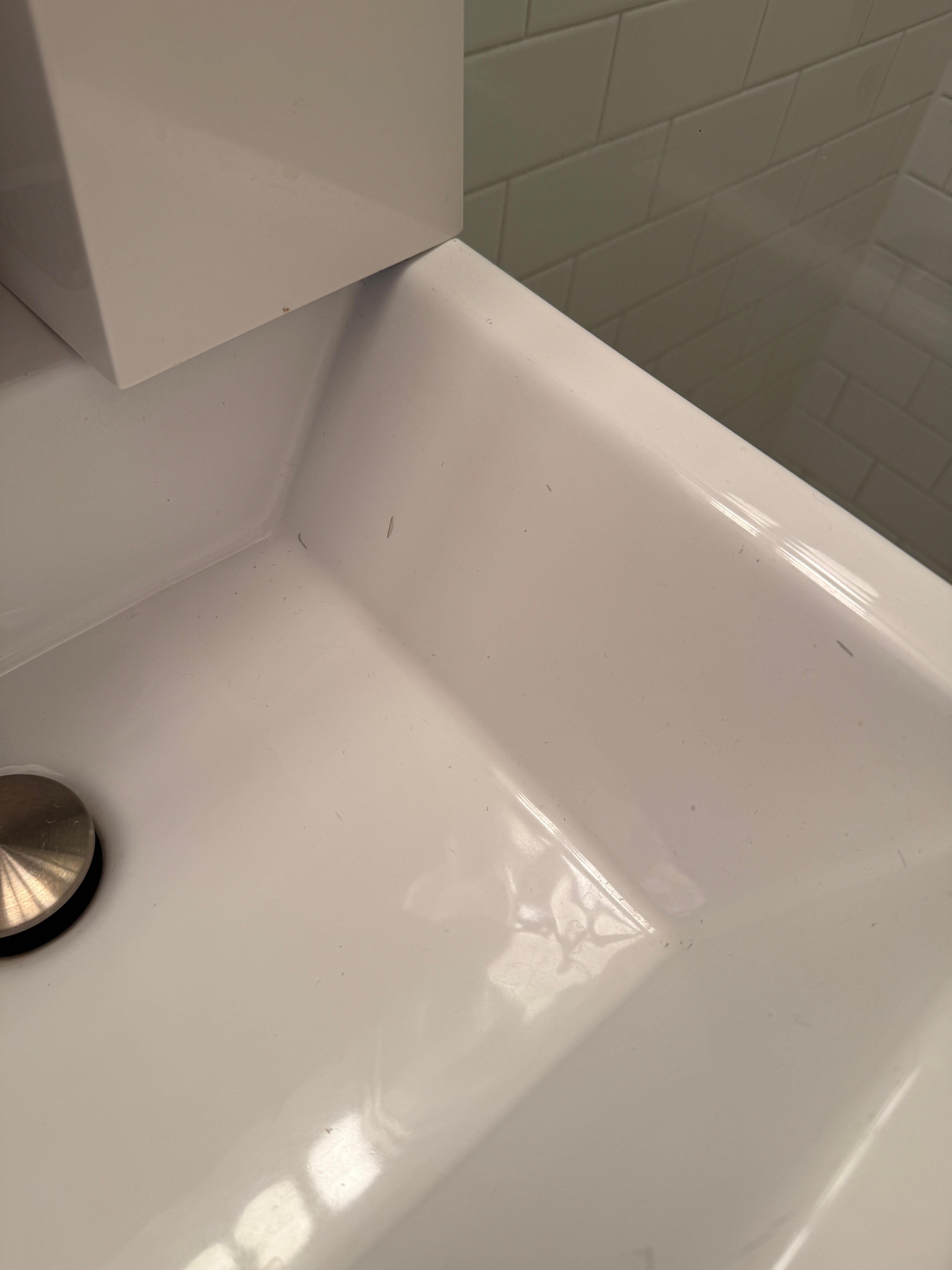 Ah yes, termite wings in the sink. Lovely.