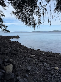 From the banks of the property.