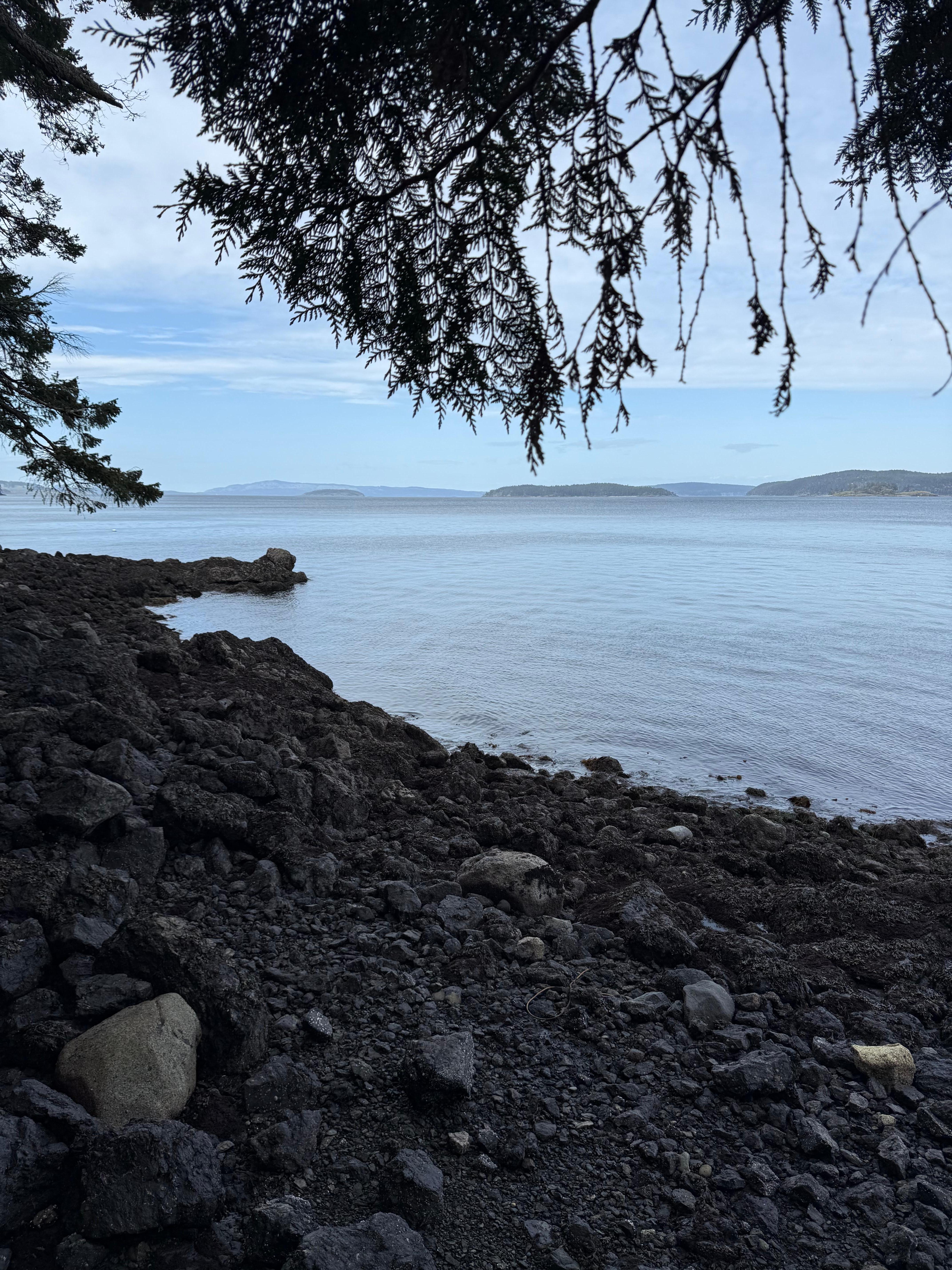 From the banks of the property. 
