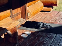 Basking in the sun on the gorgeous wrap around porch