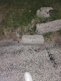 What we both tripped on in pitch dark.