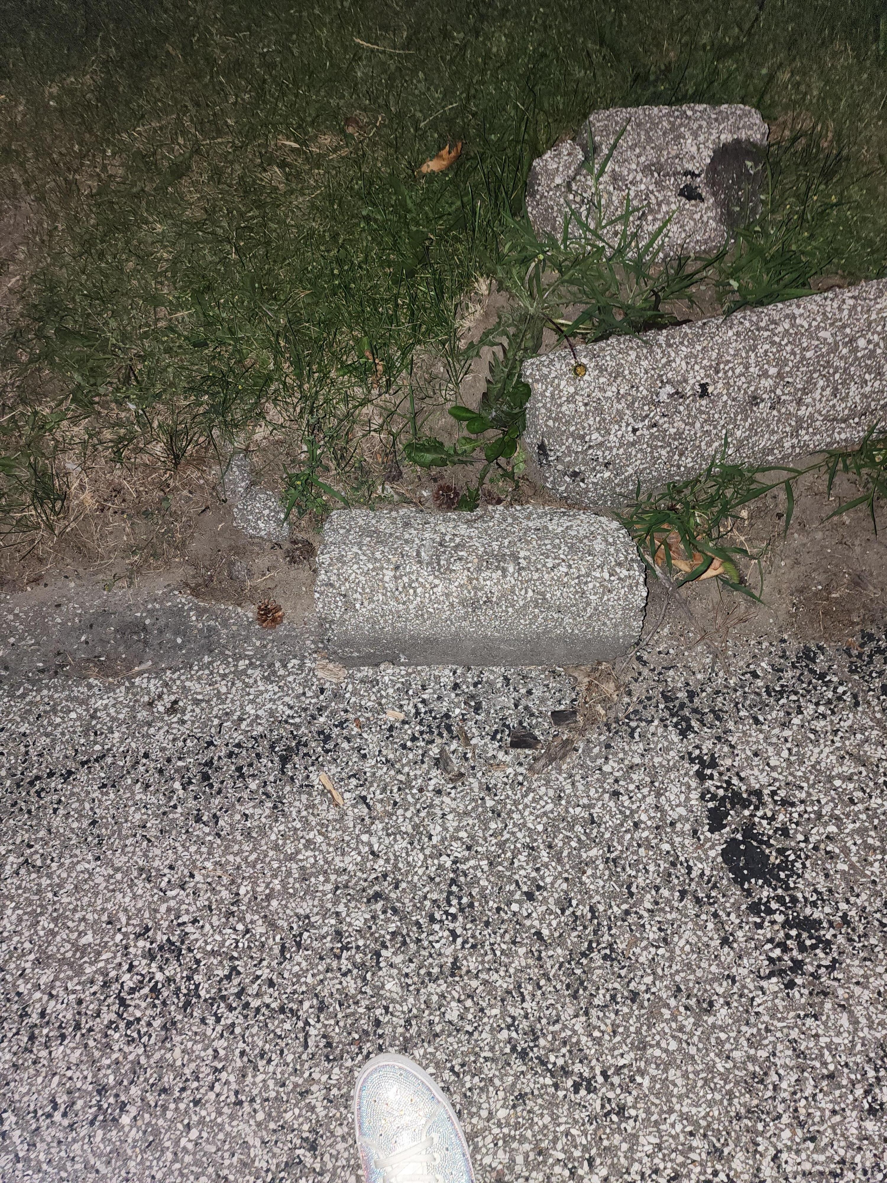 What we both tripped on in pitch dark. 
