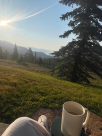 Early morning view