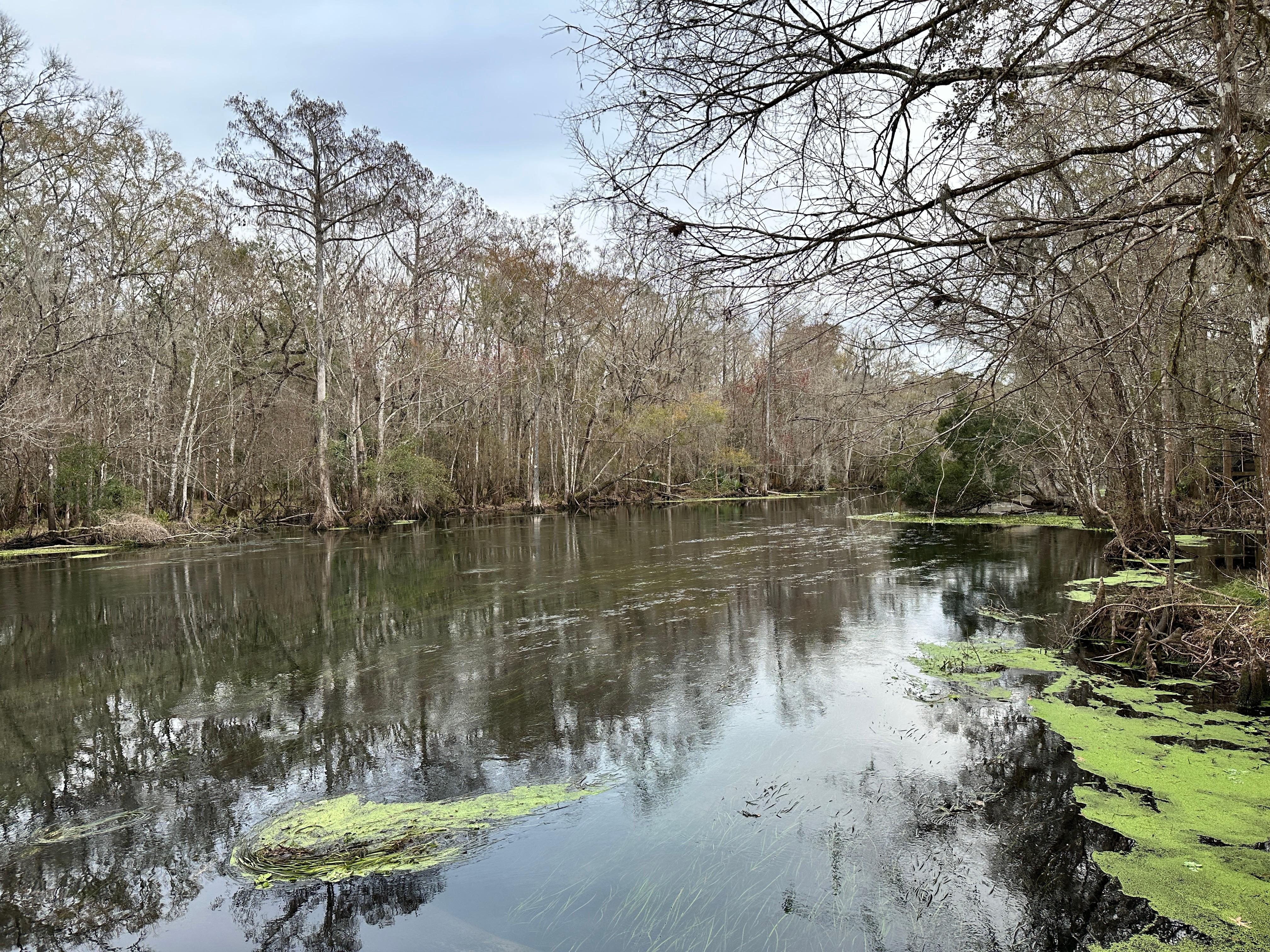 Downstream standing on the dock