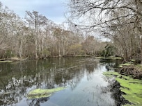 Downstream standing on the dock