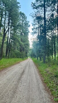 The road the house is on.