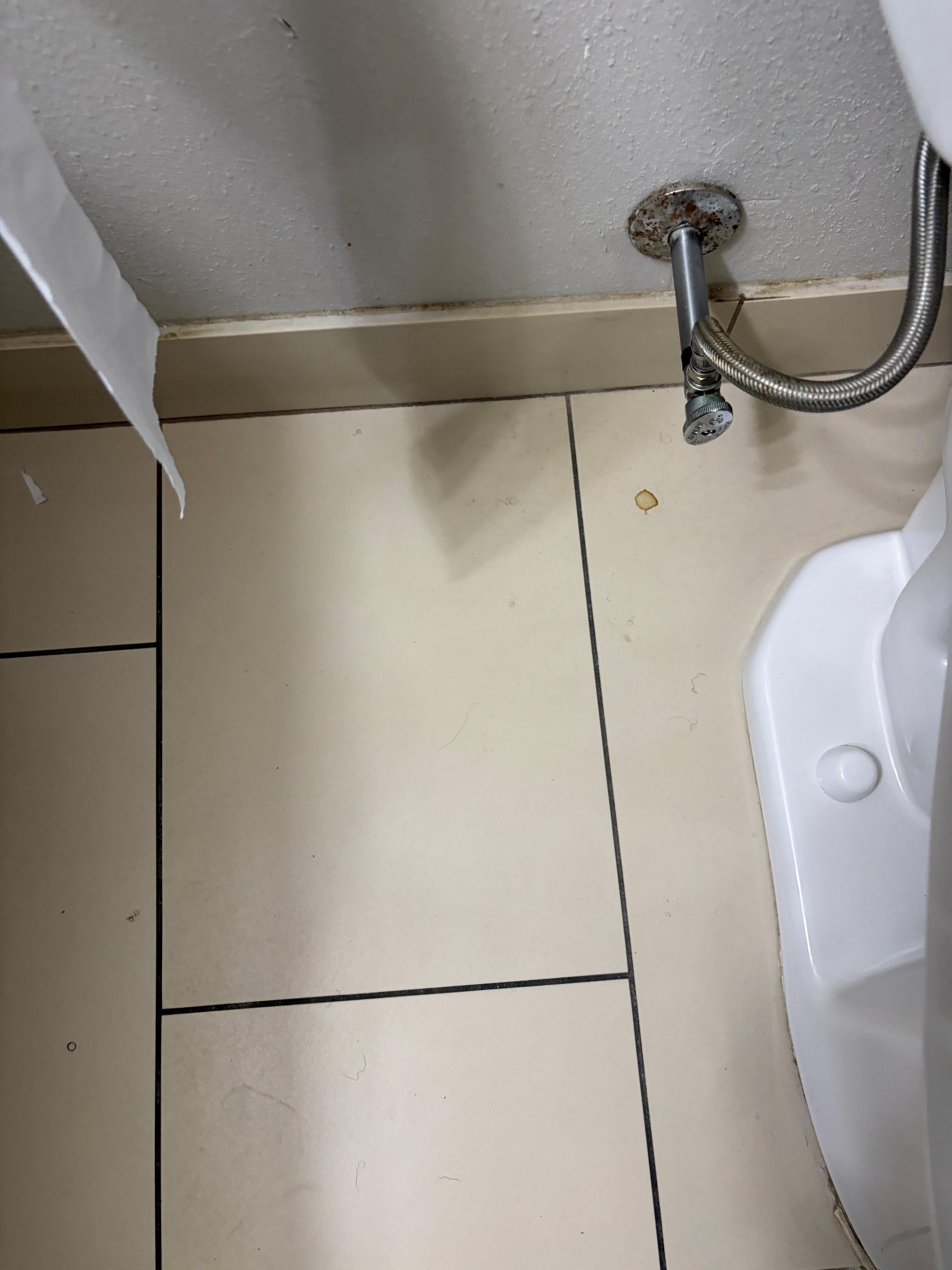 Bathroom floor not swept 