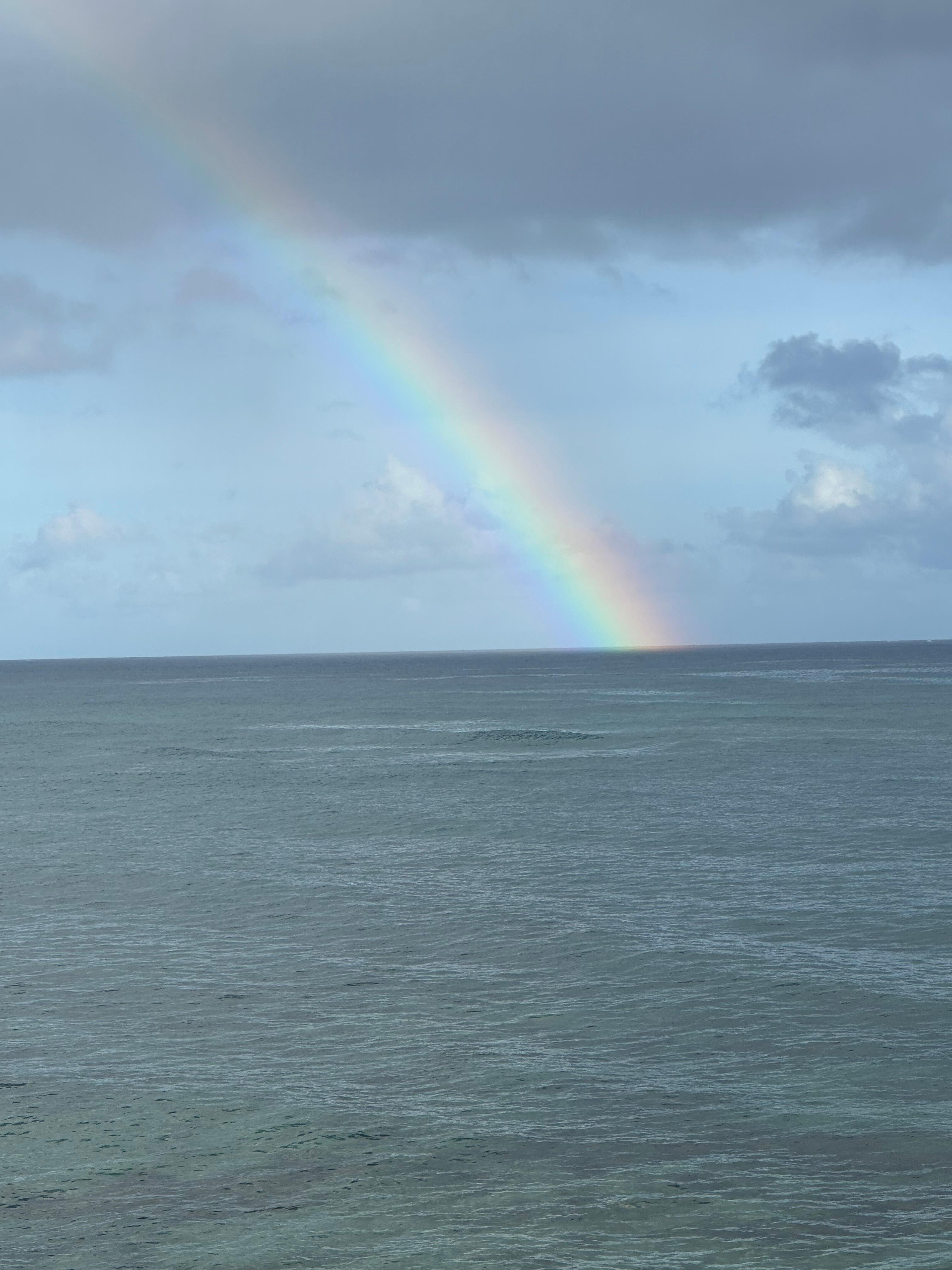 Rainbow after morning rain