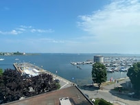 The view