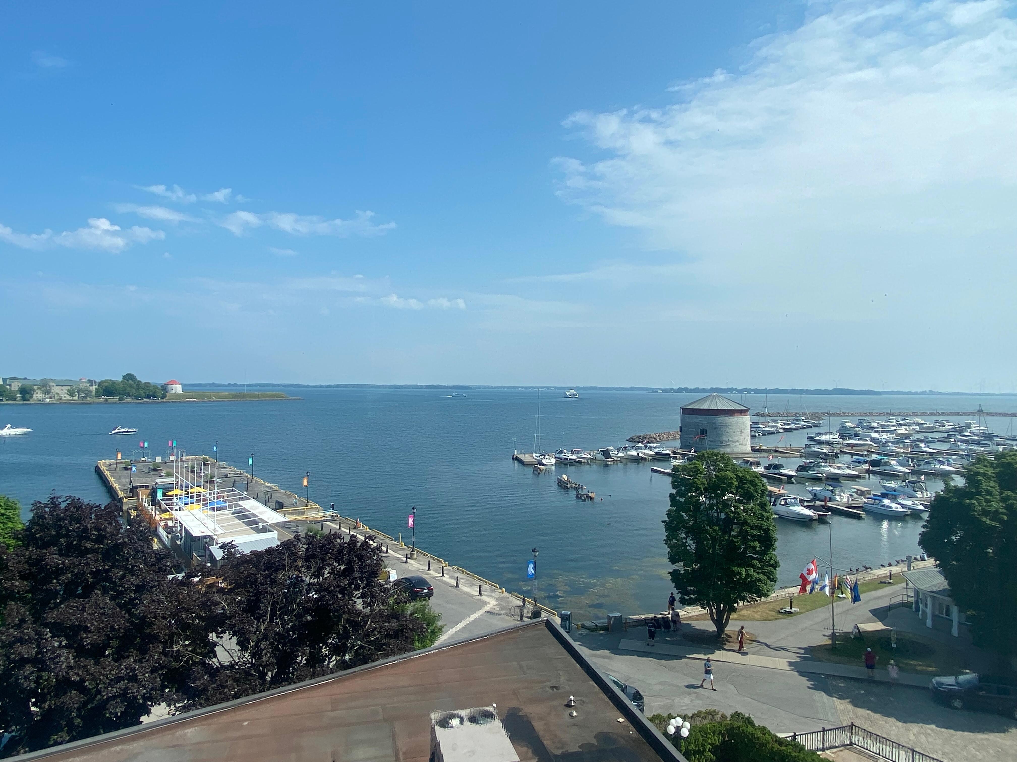 The view 