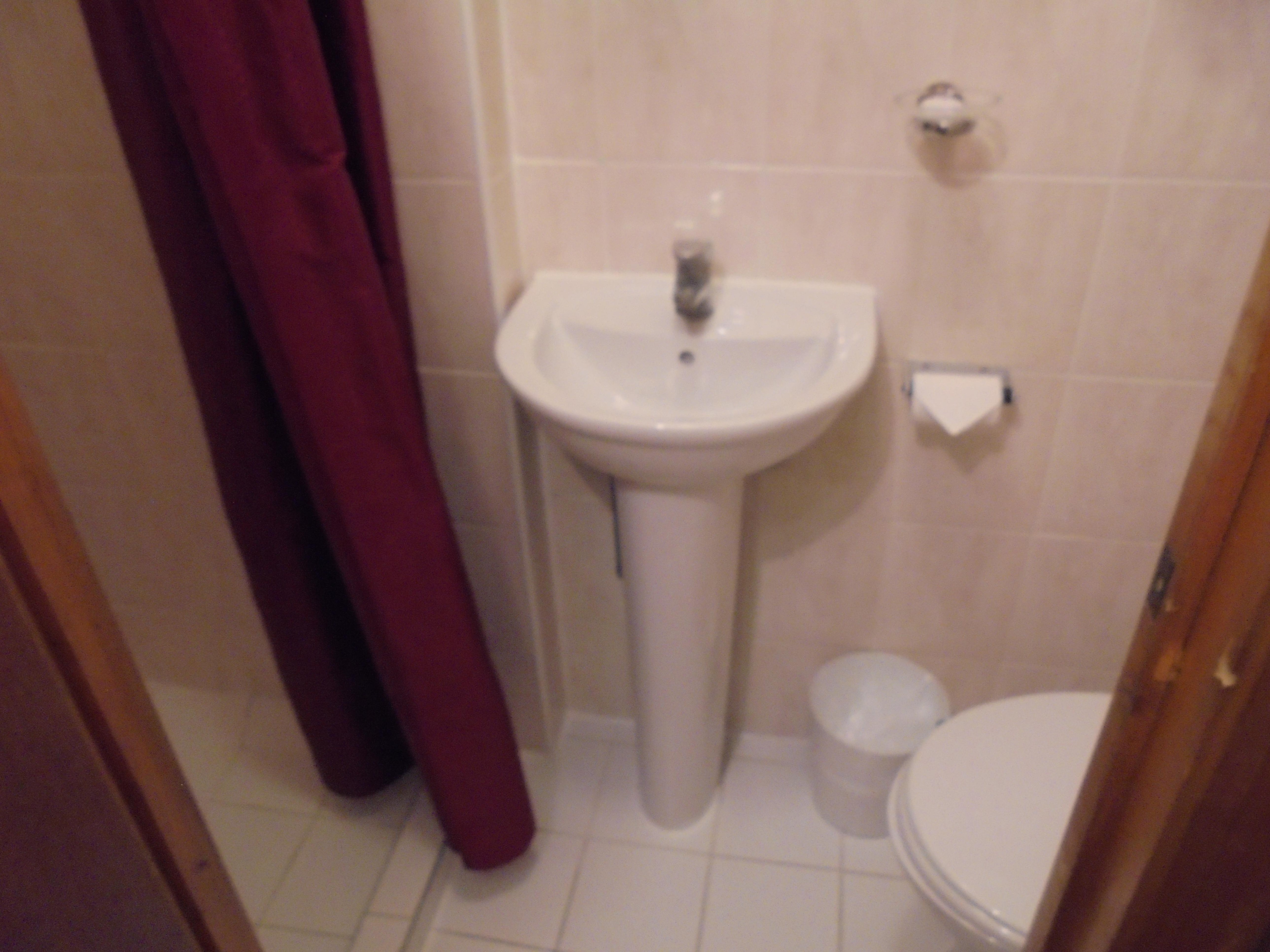 Shower, sink and toilet.