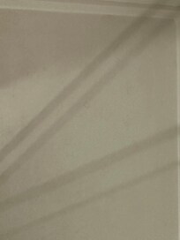 Shower . Same as above