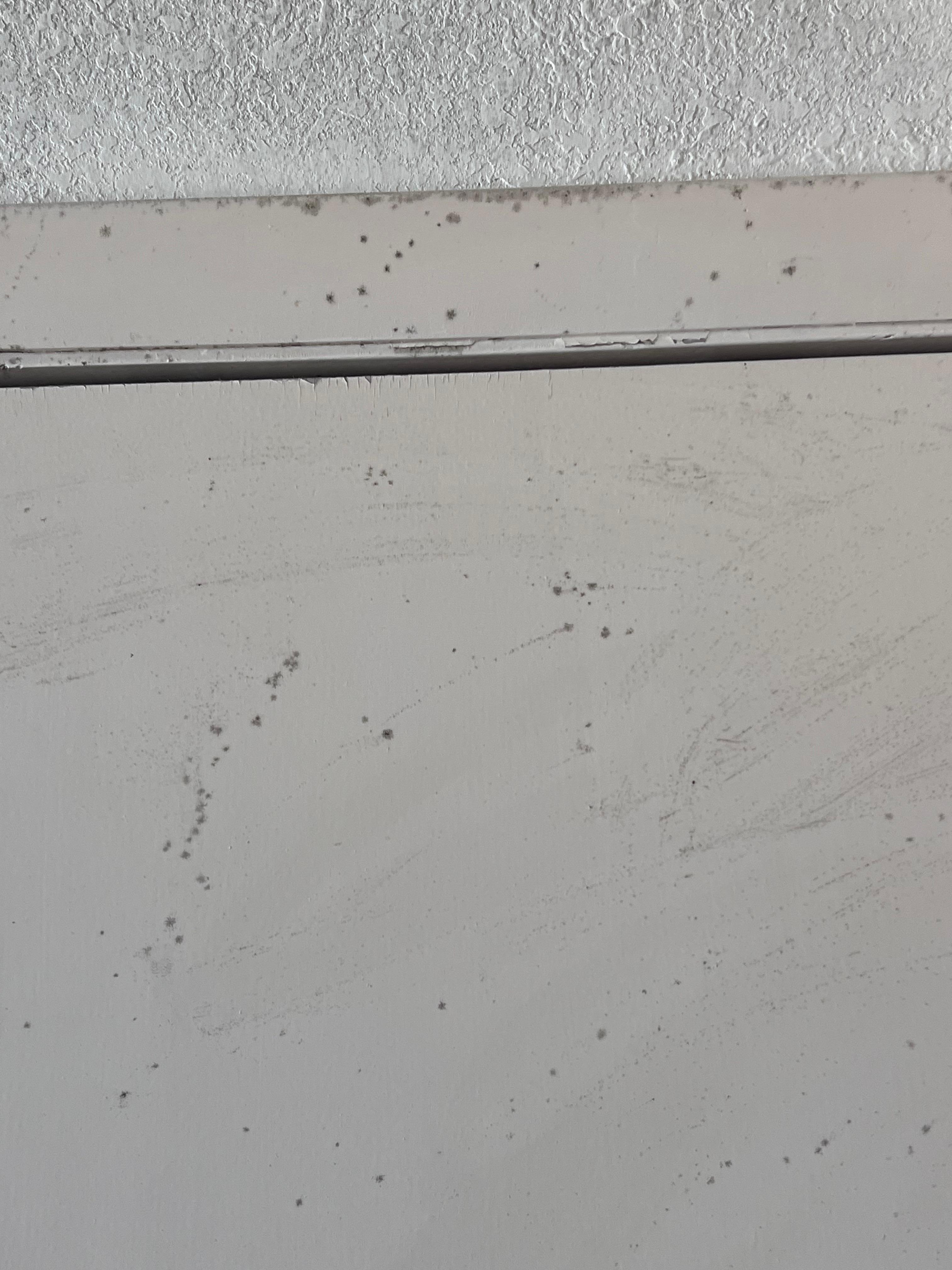 Above door mold