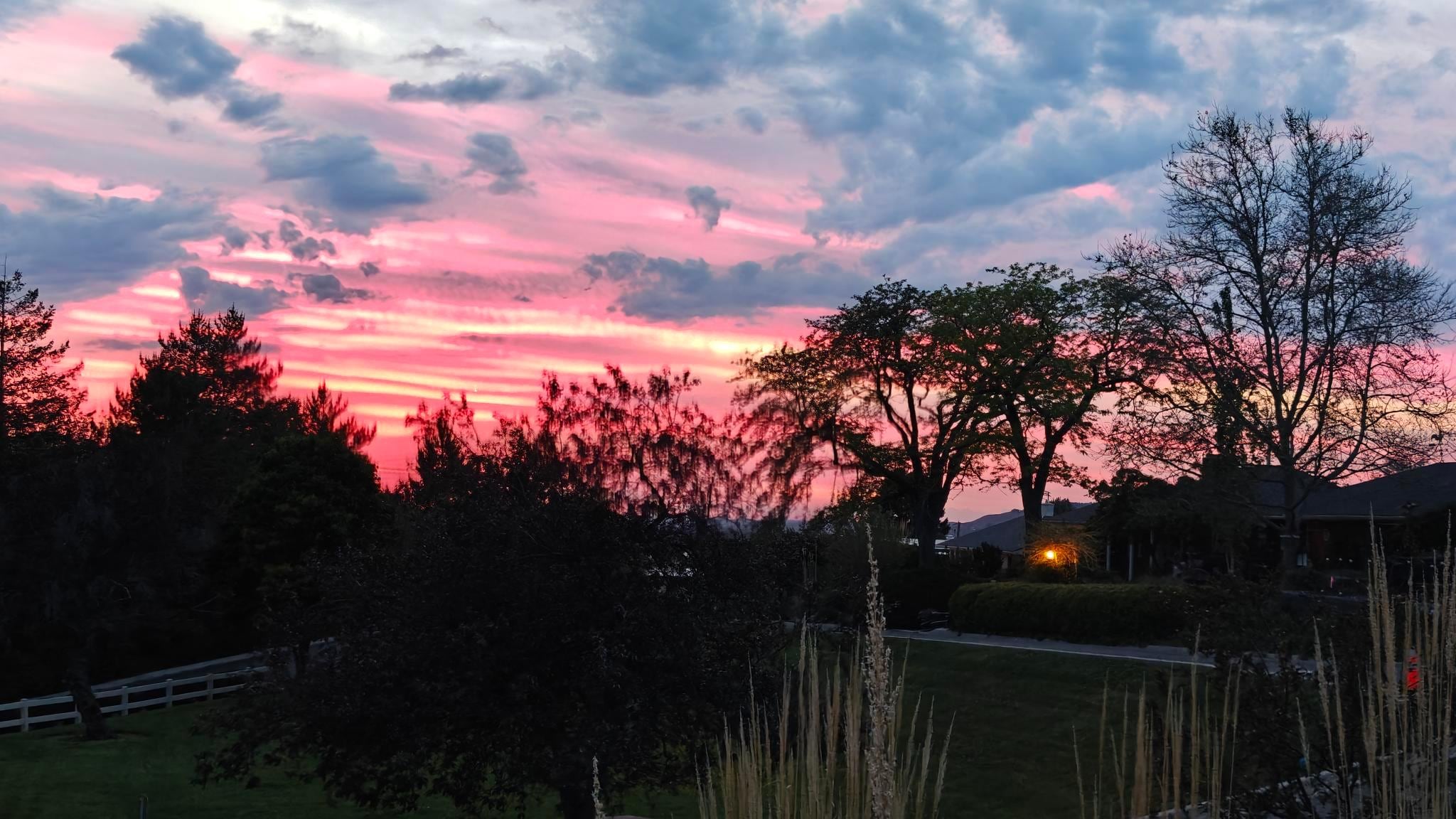 View from the patio