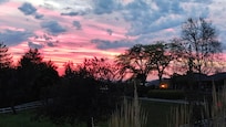 View from the patio