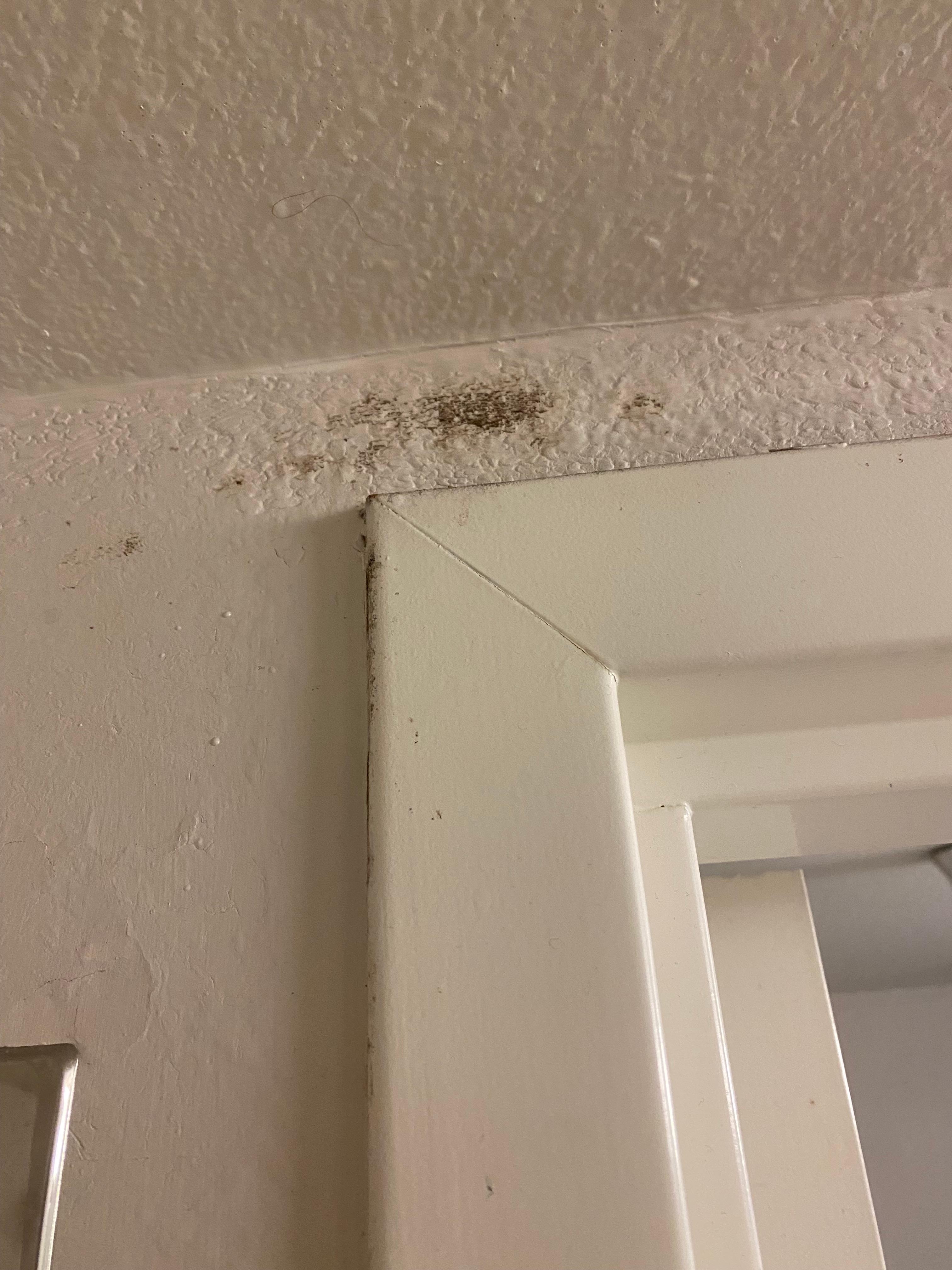 No idea what this was on the bathroom wall, above the door