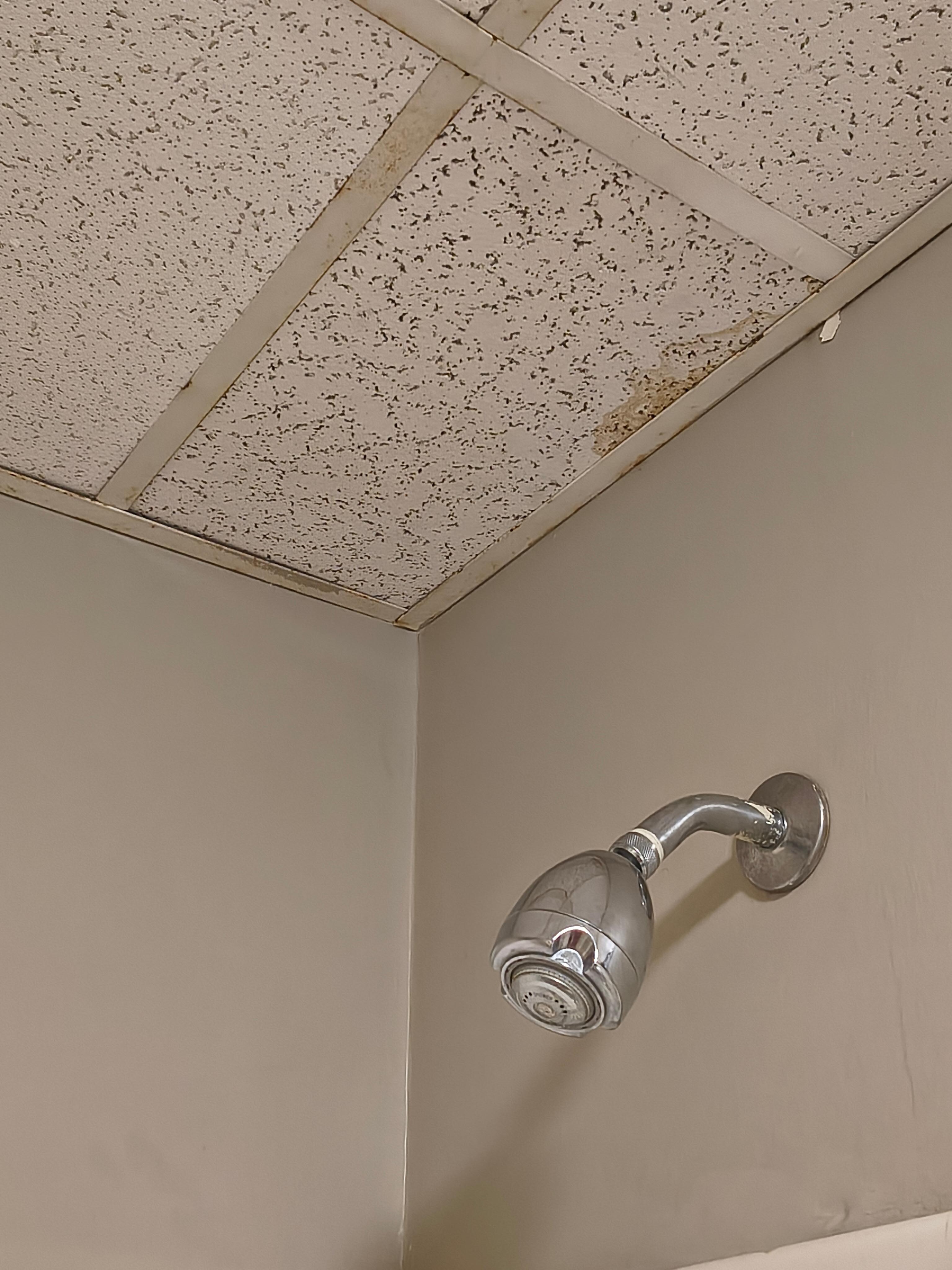 Mold in the ceiling.