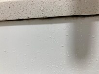 the sink had mold
