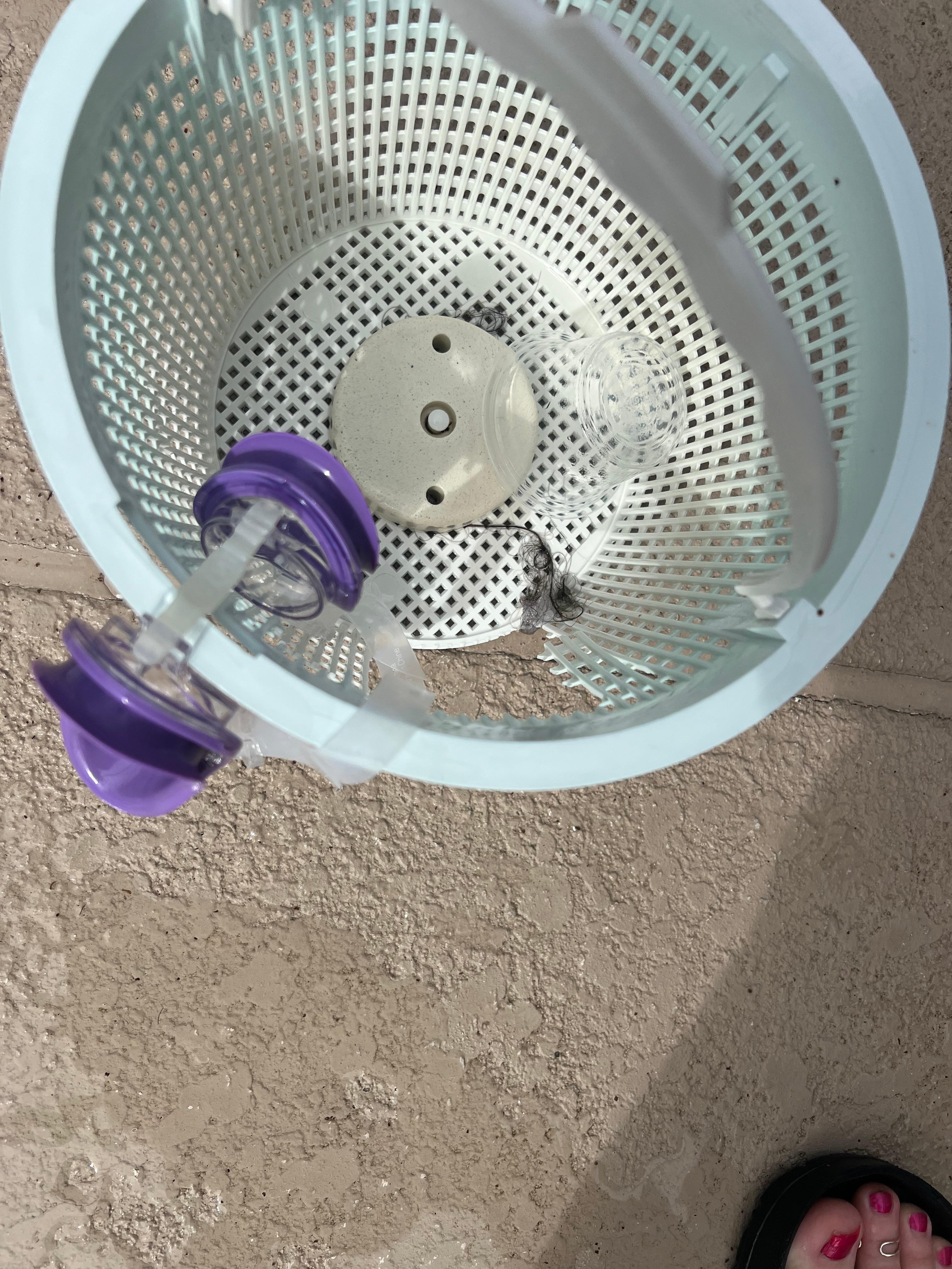 After the pool guy left 