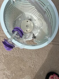 After the pool guy left