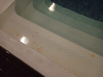 Tâches jaunes tout autour de la piscine