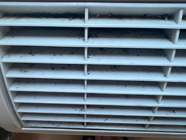 AC is disgusting. 