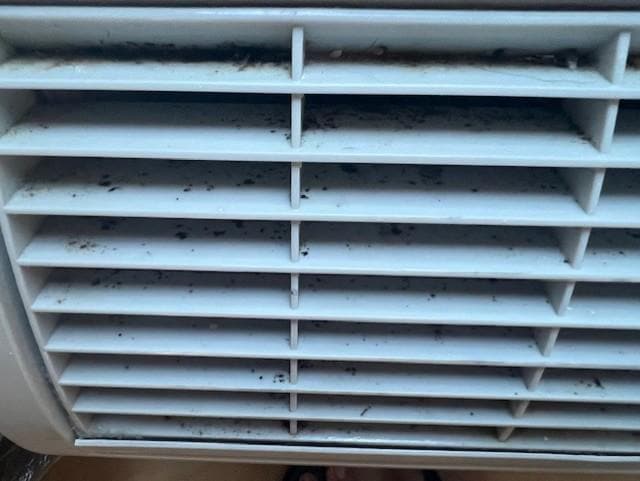 AC is disgusting.