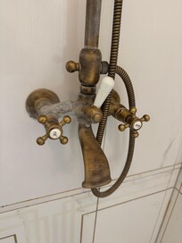 Shower fitting